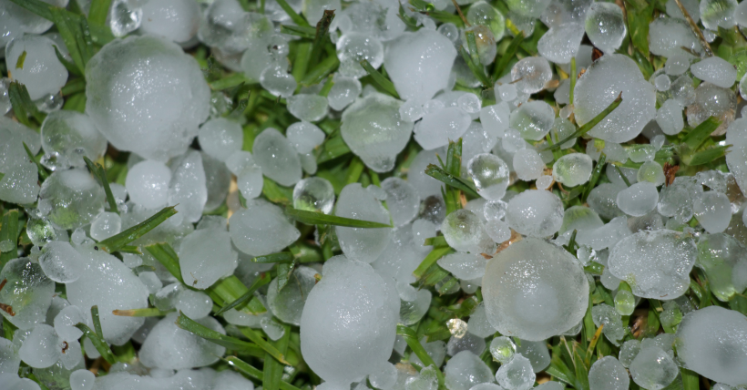 Steps to take for hail damage Copy